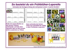 1-Anleitung-Leporello-Frühblüher.pdf